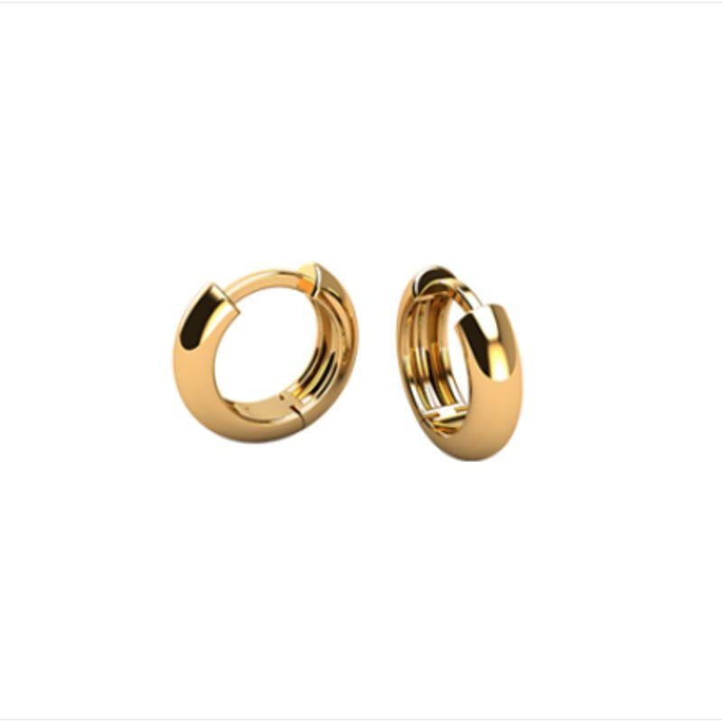 Brinco argola lisa pequena P